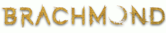 Brachmond Merch Onlineshop